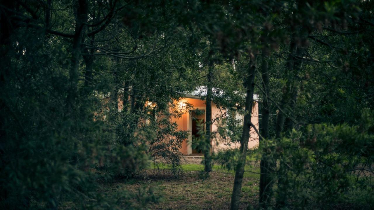 Nomeolvidesmas Lägenhet Tandil Exteriör bild