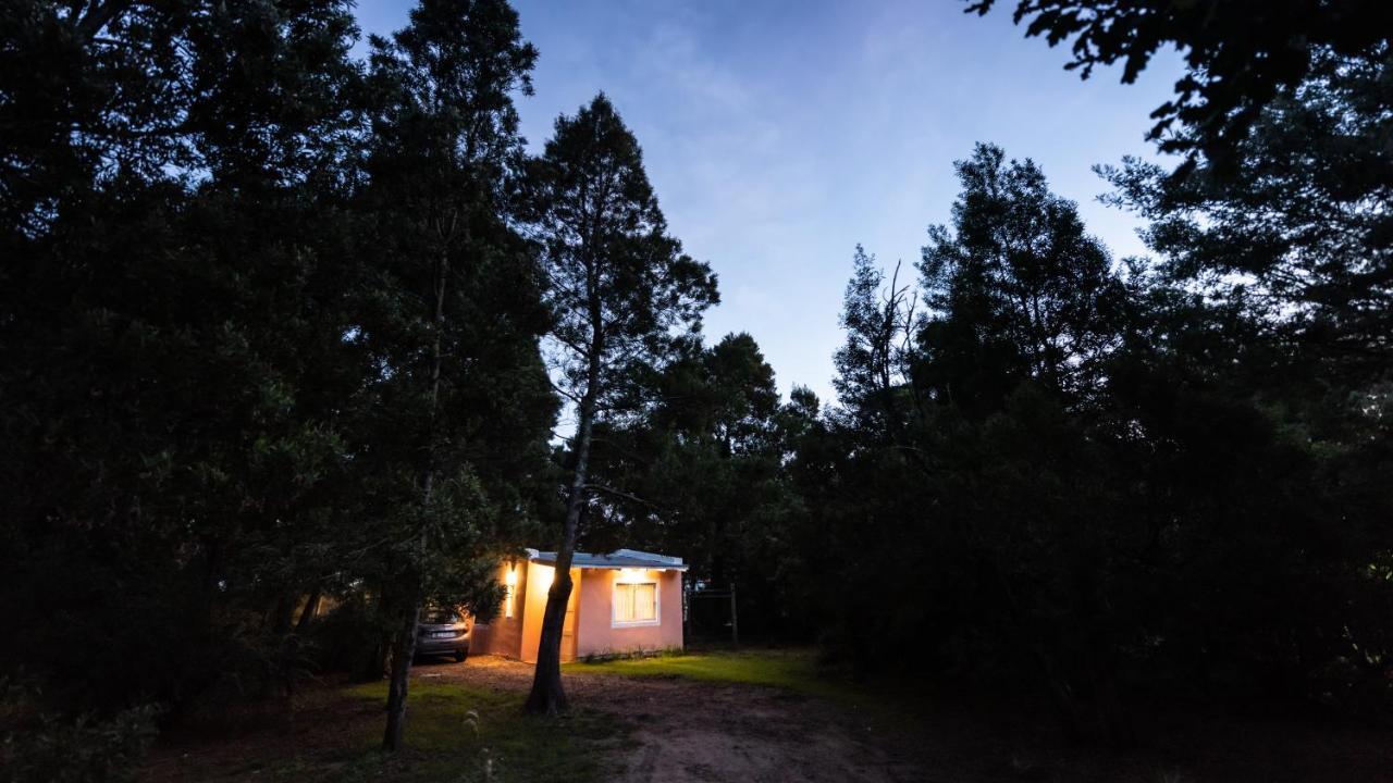 Nomeolvidesmas Lägenhet Tandil Exteriör bild
