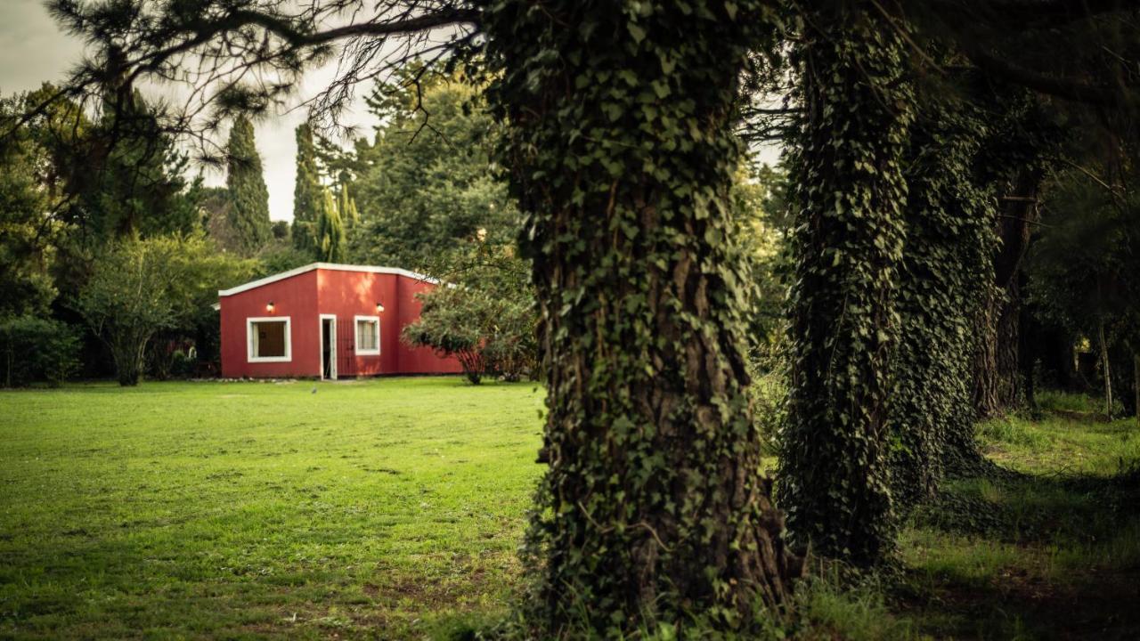 Nomeolvidesmas Lägenhet Tandil Exteriör bild