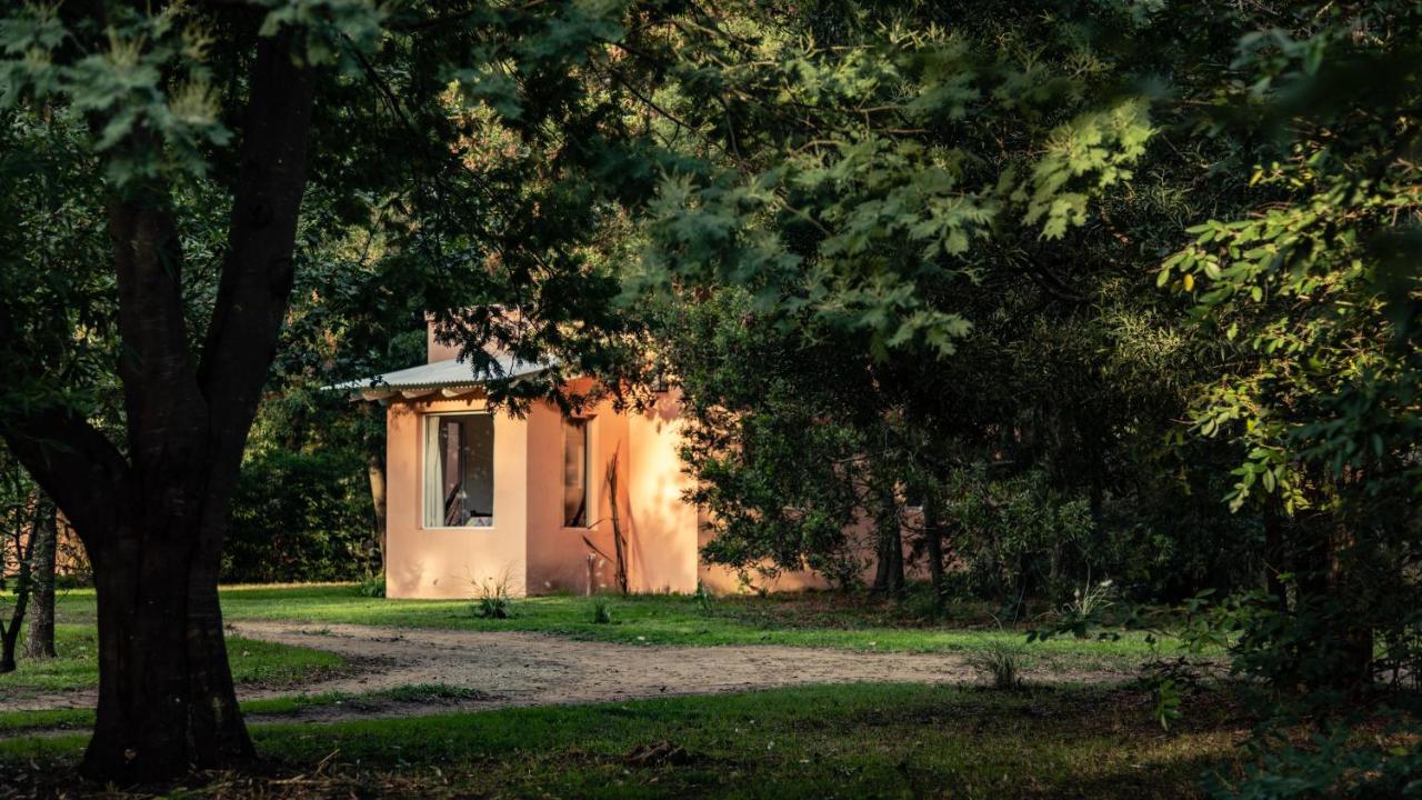 Nomeolvidesmas Lägenhet Tandil Exteriör bild